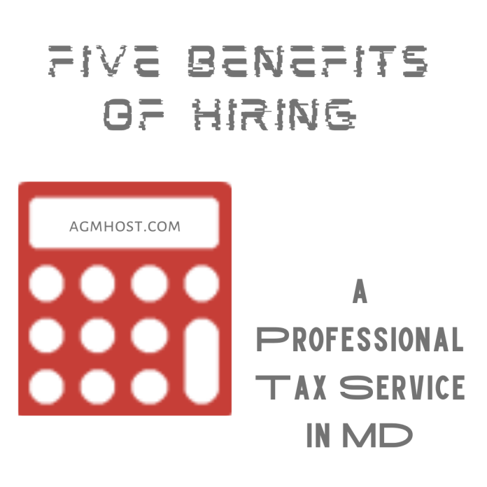 Five Benefits of Hiring a Professional Tax Service In MD