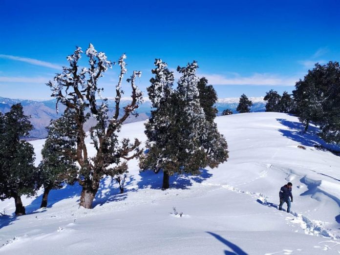 Nag Tibba Trek Complete Guide